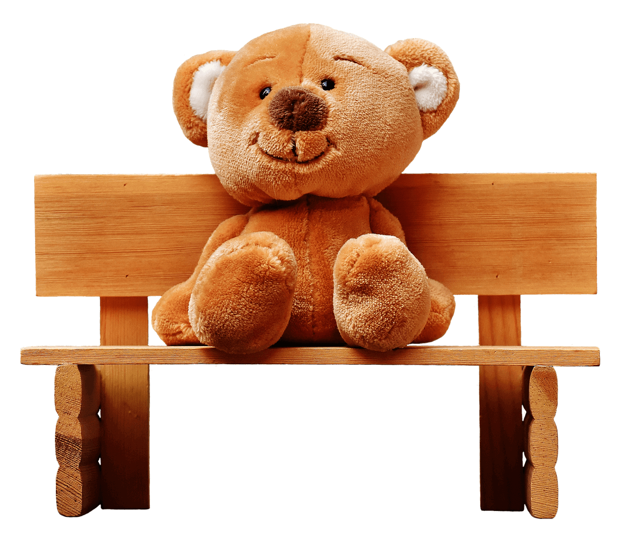 Hypnotherapy Bear Hypnotherapy Bear
