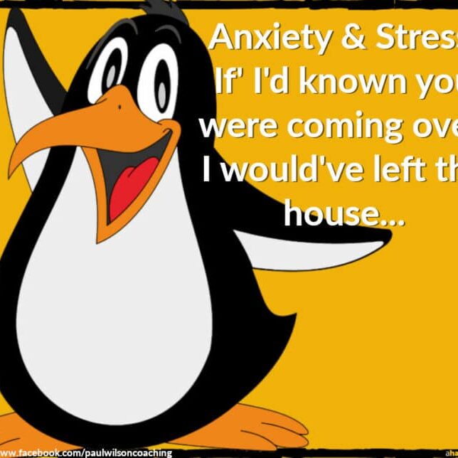 Understanding Anxiety & Stress